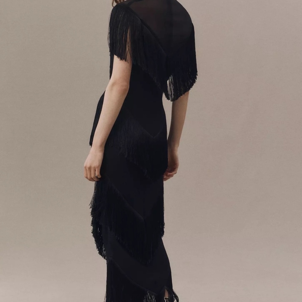 De La Vali Tellus Fringed Chiffon Midi Dress - Picture 2 of 5